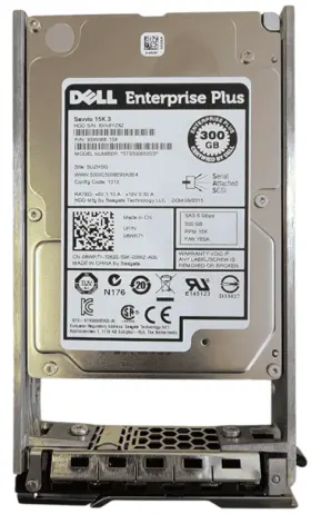 FJM3K-EQL Dell 300GB 15K SAS 2.5in 6G EP+ EqualLogic PS6100 Tray (image for) FJM3K-EQL Dell 300GB 15K SAS 2.5in 6G EP+ EqualLogic PS6100 Tray